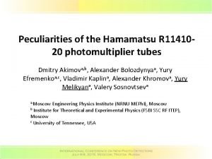 Peculiarities of the Hamamatsu R 1141020 photomultiplier tubes