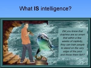 What IS intelligence Does language indicate intelligence Language