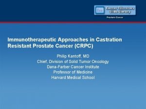 Immunotherapeutic Approaches in Castration Resistant Prostate Cancer CRPC