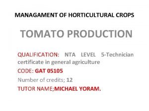 MANAGAMENT OF HORTICULTURAL CROPS TOMATO PRODUCTION QUALIFICATION NTA