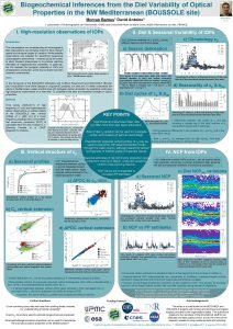 Biogeochemical Inferences from the Diel Variability of Optical