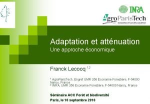 Adaptation et attnuation Une approche conomique Franck Lecocq