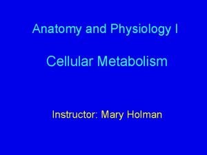 Anatomy and Physiology I Cellular Metabolism Instructor Mary