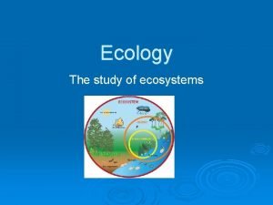 Levels of organization ecology