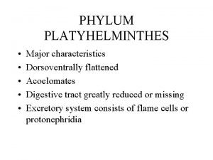 PHYLUM PLATYHELMINTHES Major characteristics Dorsoventrally flattened Acoelomates Digestive