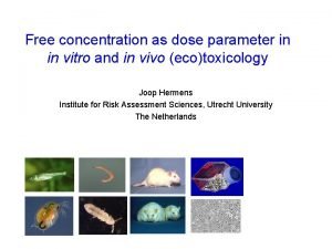 Free concentration as dose parameter in in vitro