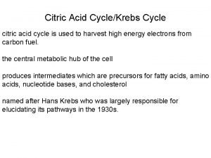 Citric acid cycle inputs