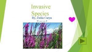 Invasive Species By Delia Caryn Esmond So what