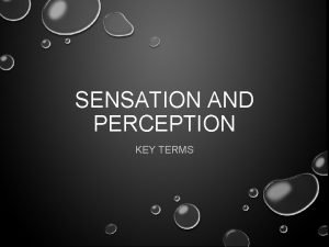 SENSATION AND PERCEPTION KEY TERMS BOTTOMUP PROCESSING BOTTOMUP