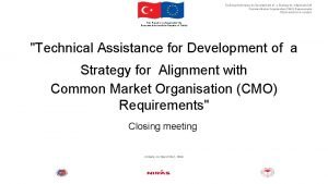 Technical Assistance for Development of a Strategy for