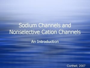 Sodium Channels and Nonselective Cation Channels An Introduction