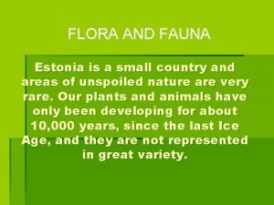 Flora y fauna de estonia