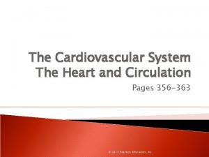 Chapter 11 the cardiovascular system figure 11-2