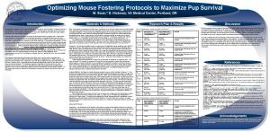 Optimizing Mouse Fostering Protocols to Maximize Pup Survival