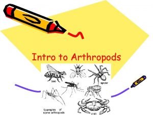 Intro to Arthropods Arthropods and Their Relatives Characteristics