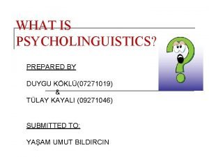 What is psycholinguistics