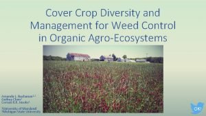 Cover Crop Diversity and Management for Weed Control