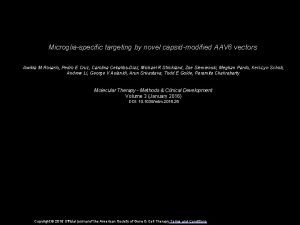 Microgliaspecific targeting by novel capsidmodified AAV 6 vectors