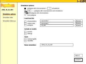 Populous Simulation options 20041028001 Simulation options Simulation data Populous Simulation options 20041028001 Simulation options Simulation data