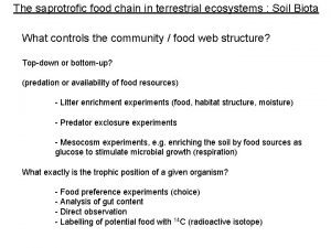 The saprotrofic food chain in terrestrial ecosystems Soil