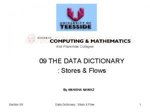 And Franchise Colleges 09 THE DATA DICTIONARY Stores