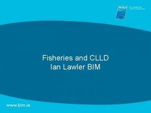 Fisheries and CLLD Ian Lawler BIM Needs Identified