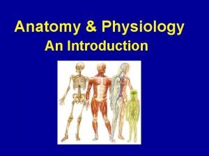 Anatomy Physiology An Introduction An Overview of Anatomy
