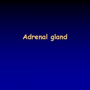 Adrenal gland Hormones of the adrenal cortex the