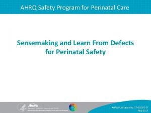 AHRQ Safety Program for Perinatal Care Sensemaking and