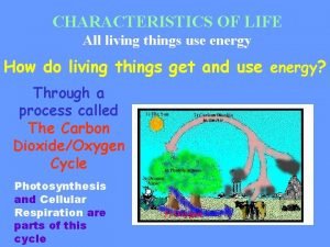 CHARACTERISTICS OF LIFE All living things use energy