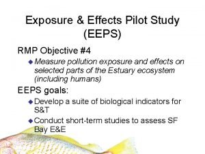 Exposure Effects Pilot Study EEPS RMP Objective 4