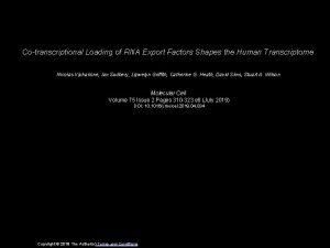 Cotranscriptional Loading of RNA Export Factors Shapes the