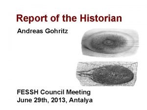 Report of the Historian Andreas Gohritz FESSH Council