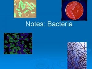 Notes Bacteria General Characteristics Microscopic Exist everywhere Unicellular