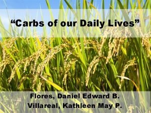 Carbs of our Daily Lives Flores Daniel Edward