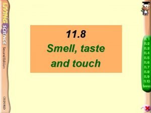 11 8 Smell taste and touch How do