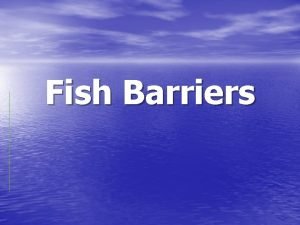 Fish Barriers Fish Barrier Basics Fish barriers only
