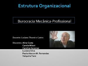 Estrutura Organizacional Burocracia MecnicaProfissional Docente Luciano Thom e