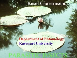Parasite Parasite