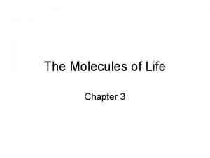 Chapter 3 molecules of life Chapter 3 molecules of life