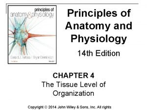Anatomy and physiology