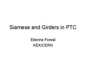 Siamese and Girders in PTC Etienne Forest KEKCERN