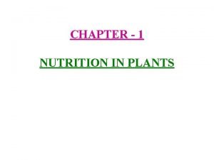 What are the other modes of nutrition in plants