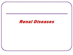 Renal Diseases Kidney Functions Nephron The Functional unit