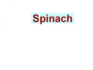 Spinach Spinach Botanical Name Origin Family Chromosome no