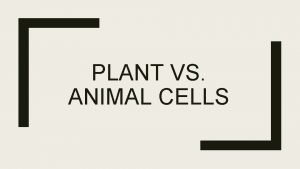 Plant vs animal cell
