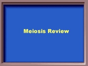 Meiosis Review True or False Cancer is a
