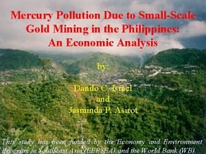 Mercury Pollution Due to SmallScale Gold Mining in