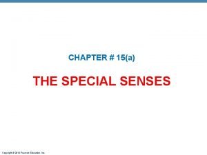 CHAPTER 15a THE SPECIAL SENSES Copyright 2010 Pearson