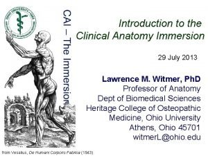 Introduction to the Clinical Anatomy Immersion 29 July